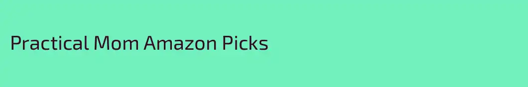 Practical Mom Amazon Picks